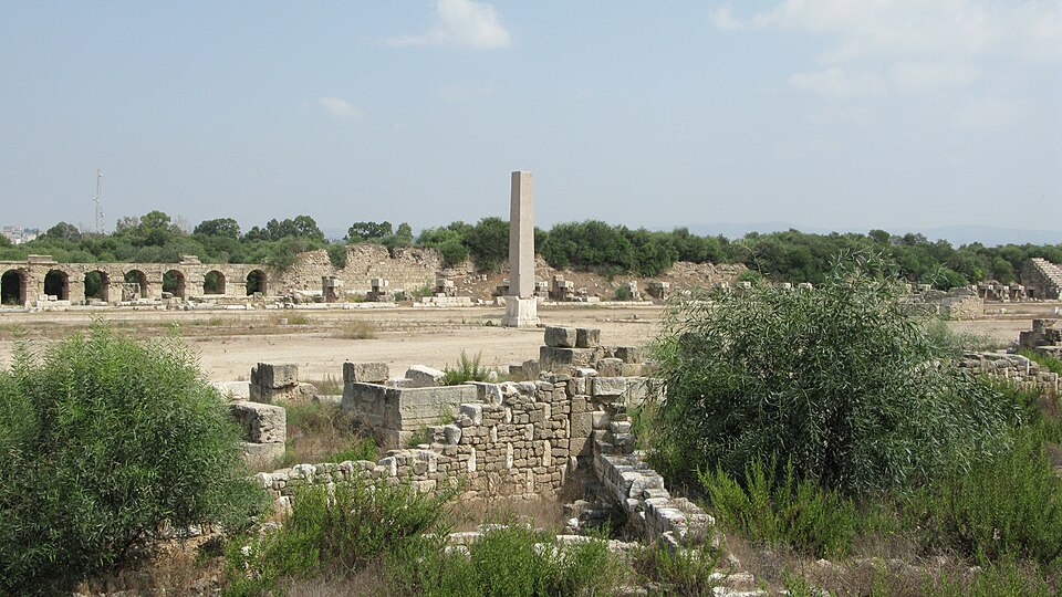 Tyre