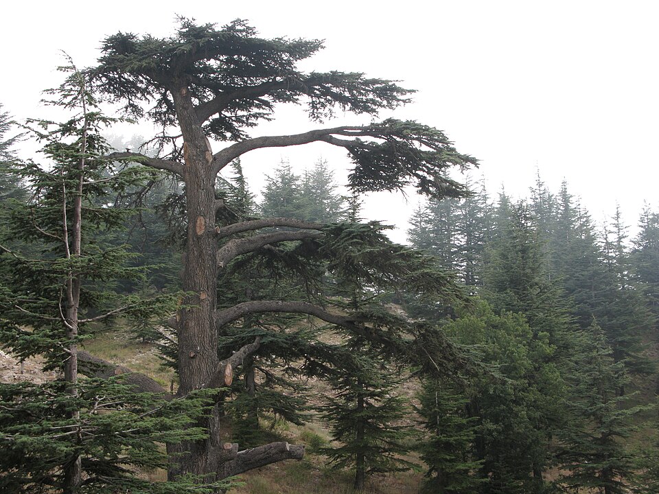 Lebanon